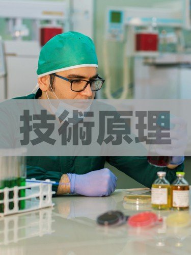 技術原理